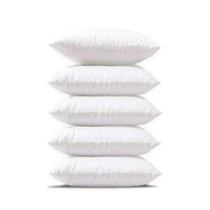 Pillows & Cushion Fillers